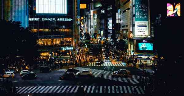 佛跳墙app哪里下载